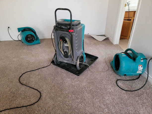 Best Fire Damage Restoration  in Wilder, VT
