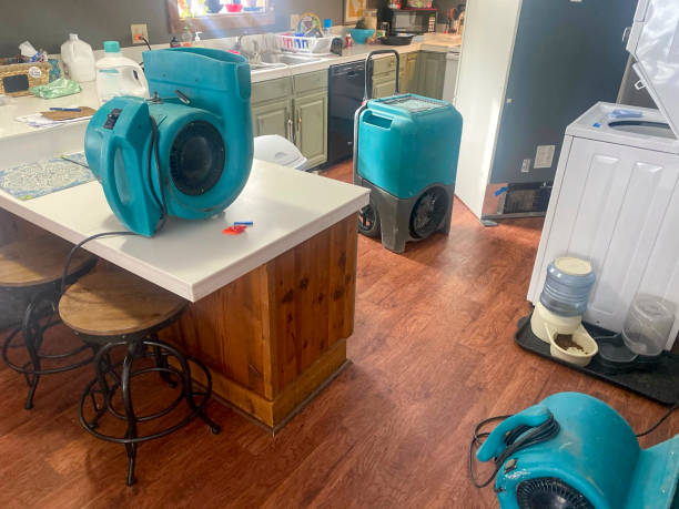 Best Carpet water damage restoration  in Wilder, VT