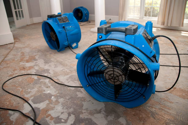 Best Water damage cleanup near me  in Wilder, VT