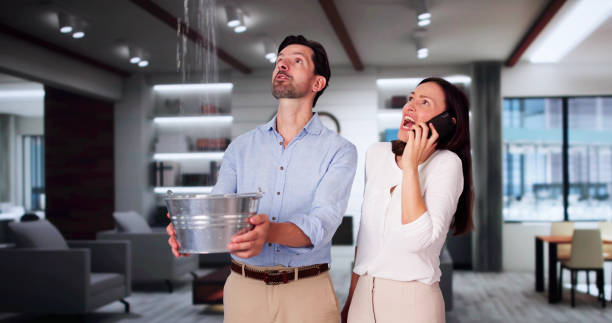 Best Water damage restoration cost  in Wilder, VT
